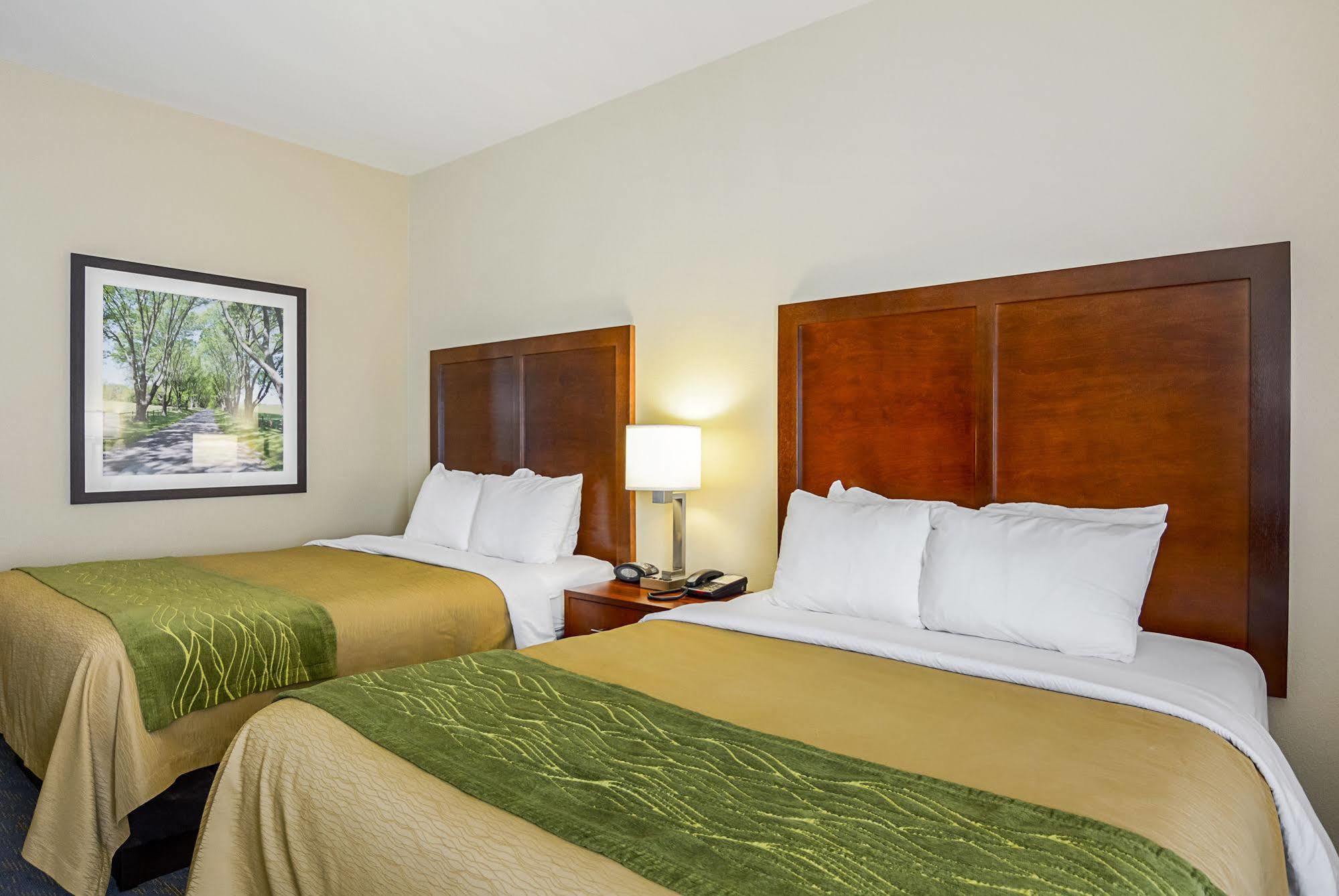 Comfort Inn Woodstock Shenandoah Exterior foto